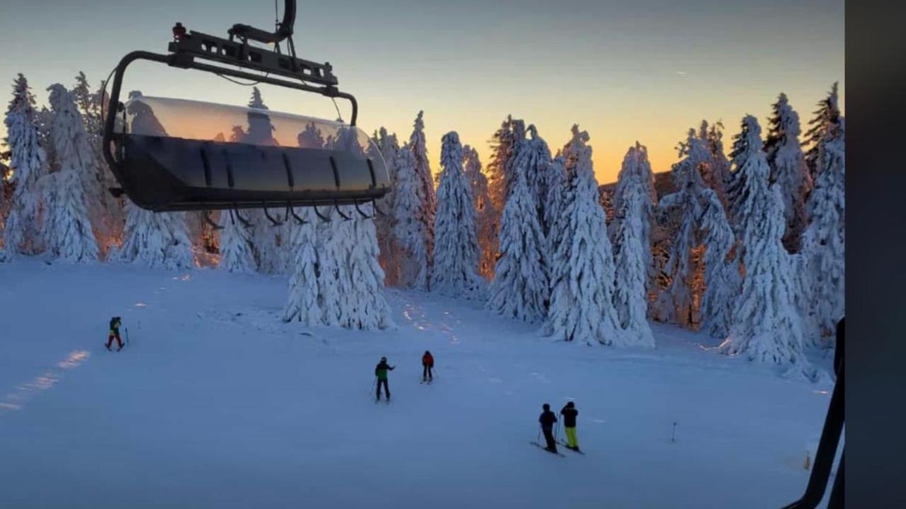 Fewo Jaeger Willingen  Extérieur photo