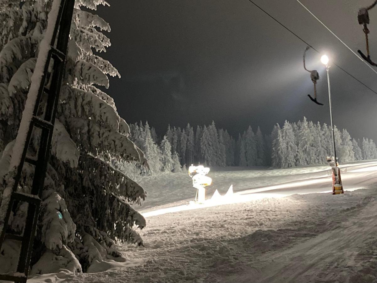 Fewo Jaeger Willingen  Extérieur photo