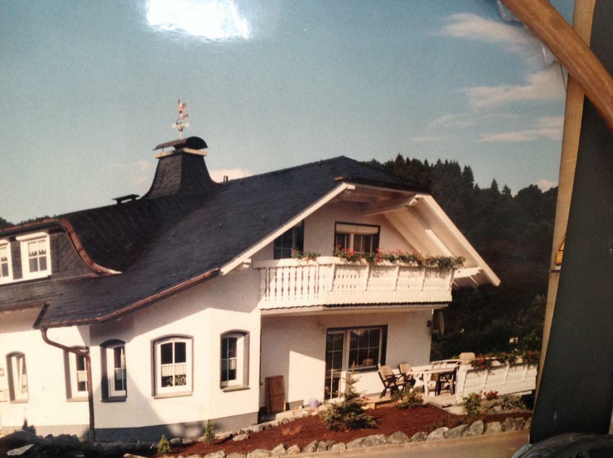 Fewo Jaeger Willingen  Extérieur photo